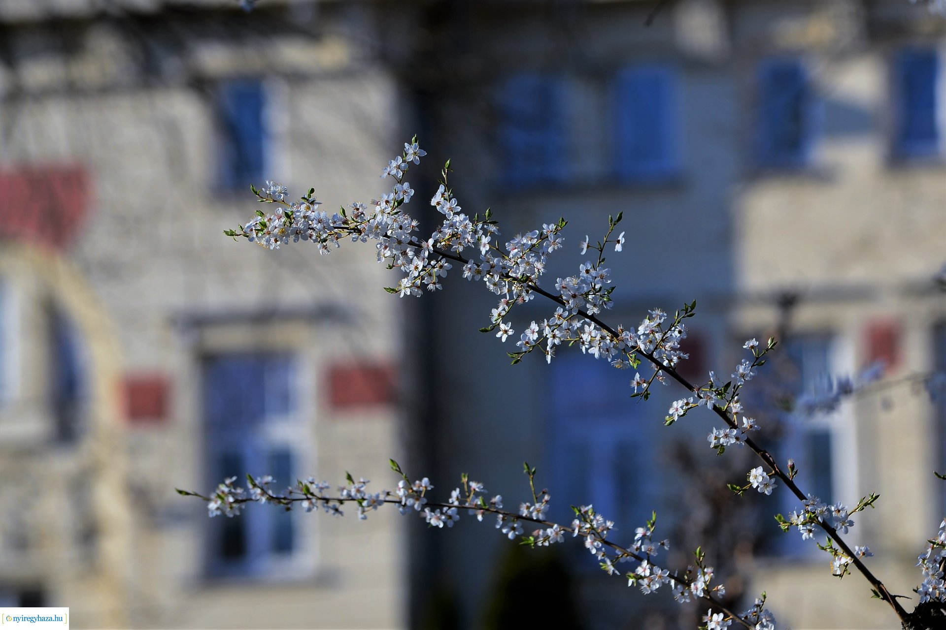 Napsütéses tavaszi délután Sóstón