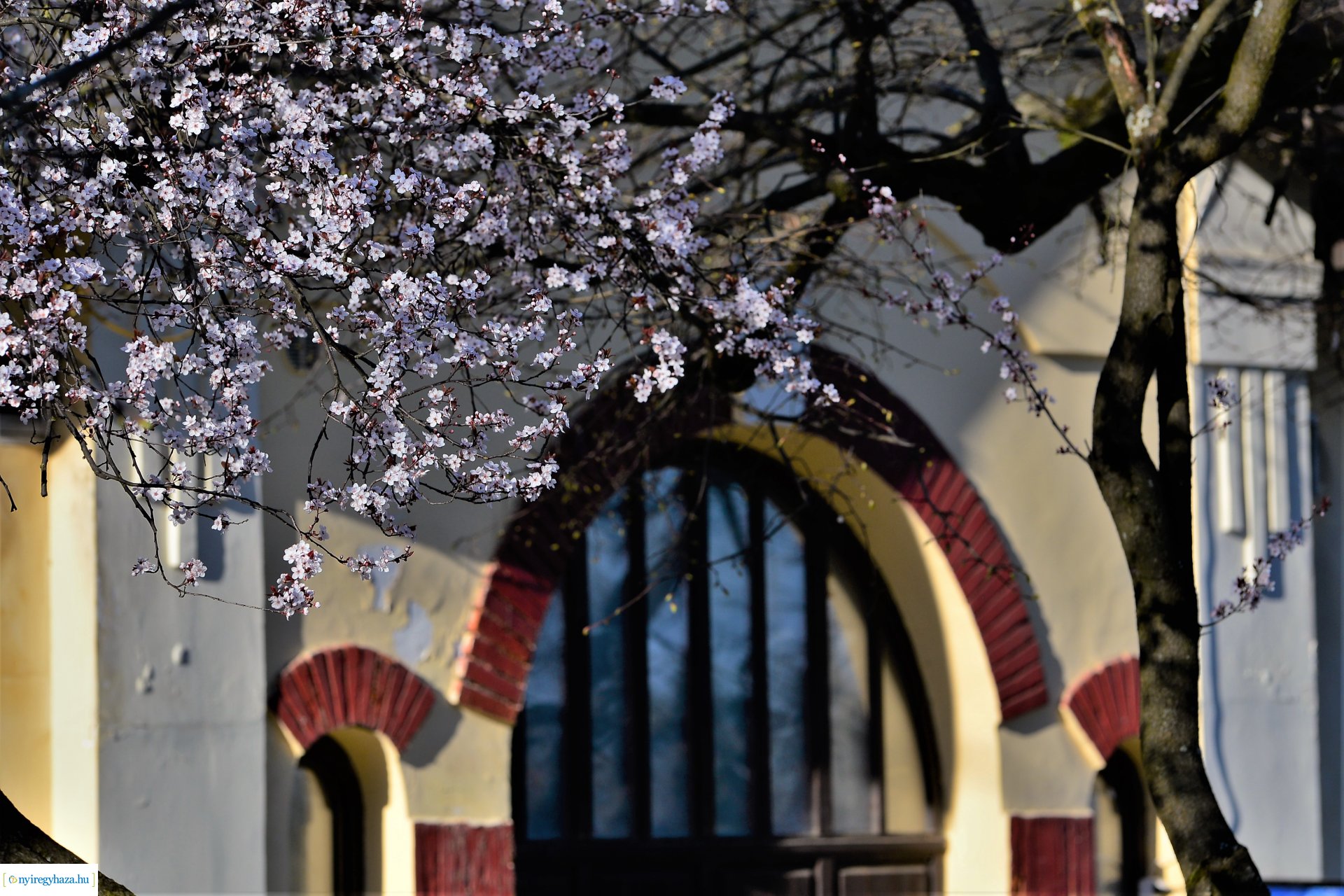 Napsütéses tavaszi délután Sóstón