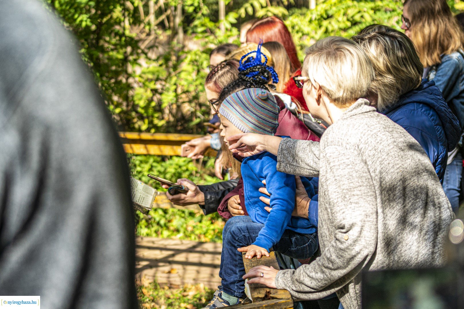 Négyesikrek születtek a Nyíregyházi Állatpark oroszlán családjában. 