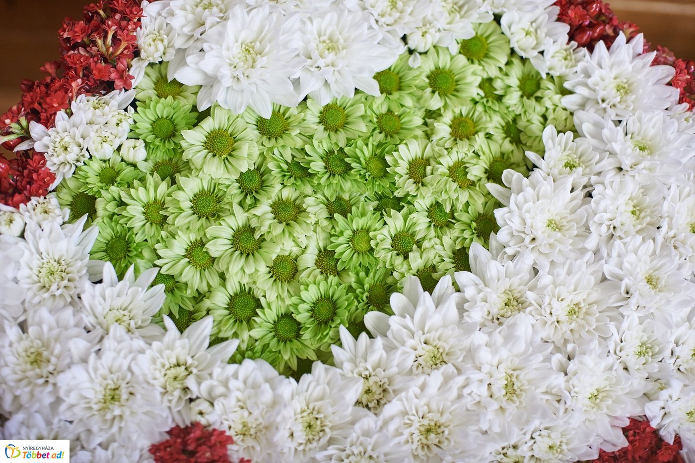 Nemzeti Összetartozás Napja 2019