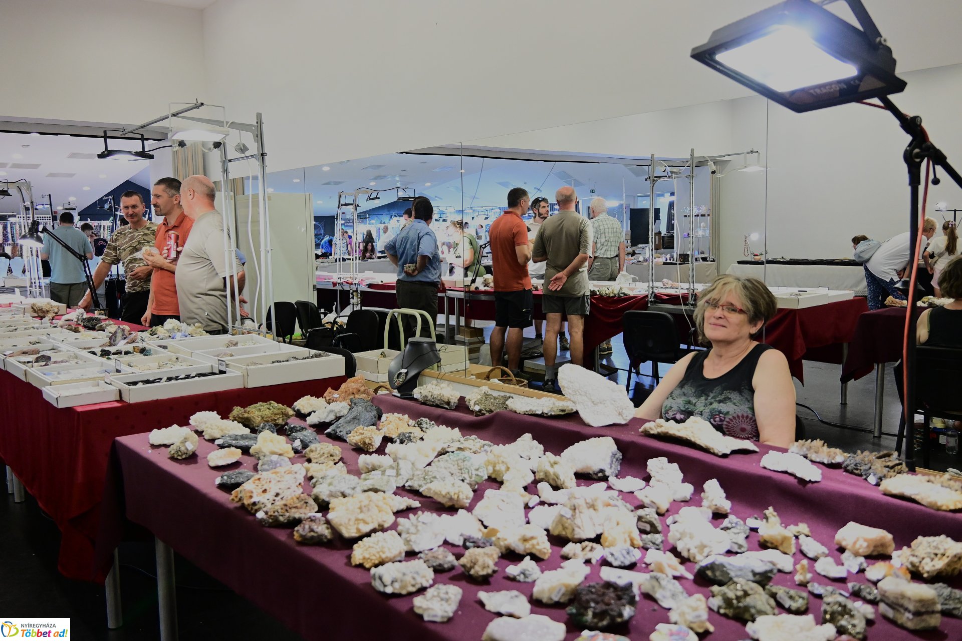 Nemzetközi Ásványbörze a VMKK-ban 2025