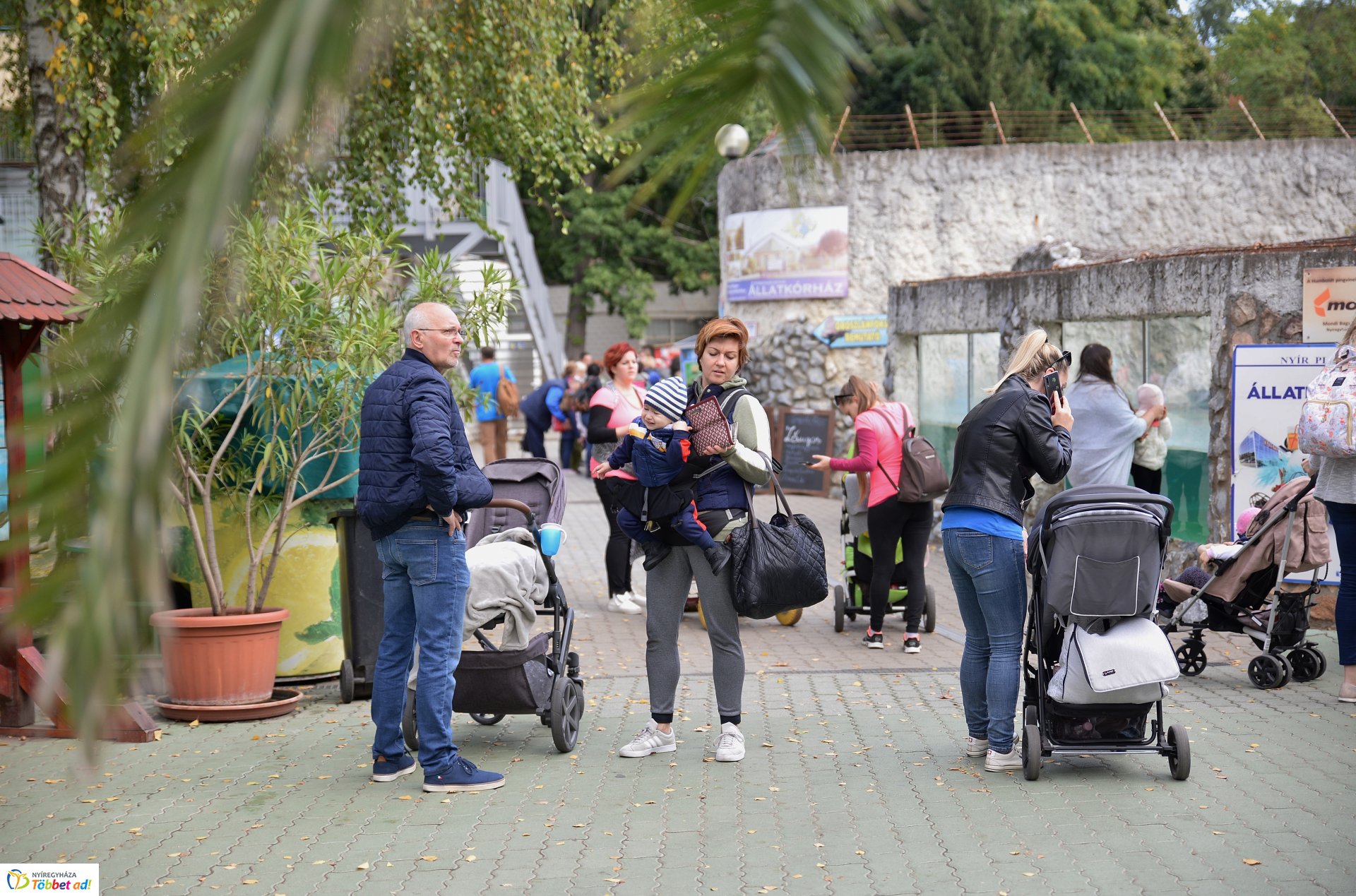 Nemzetközi Babahordozó hét megnyitó - Séta az Állatparkban