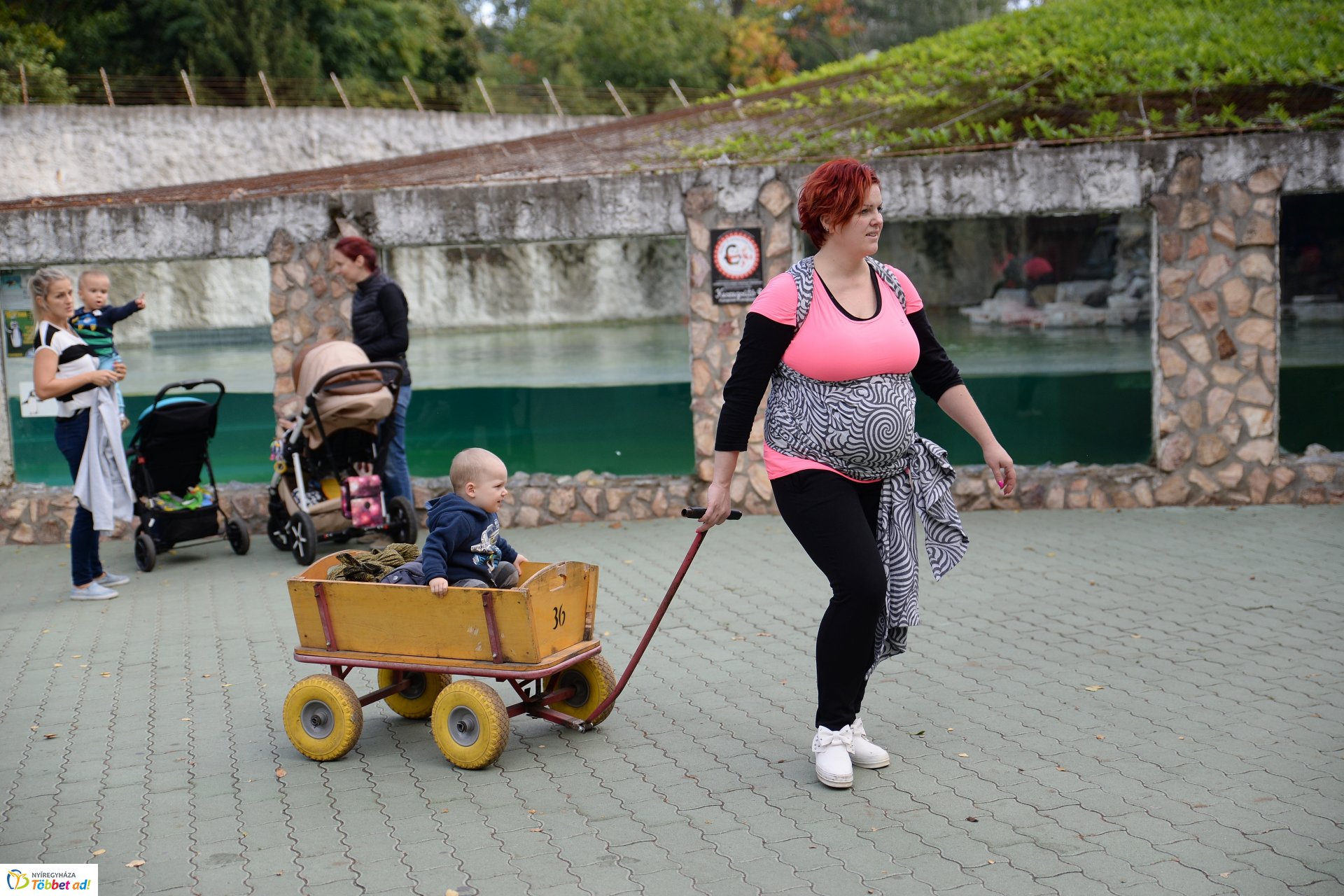 Nemzetközi Babahordozó hét megnyitó - Séta az Állatparkban