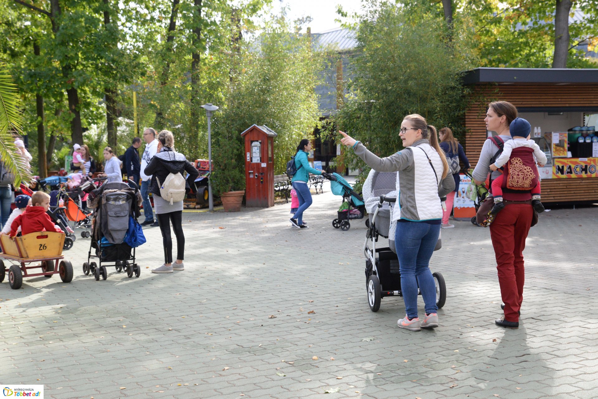 Nemzetközi Babahordozó hét megnyitó - Séta az Állatparkban