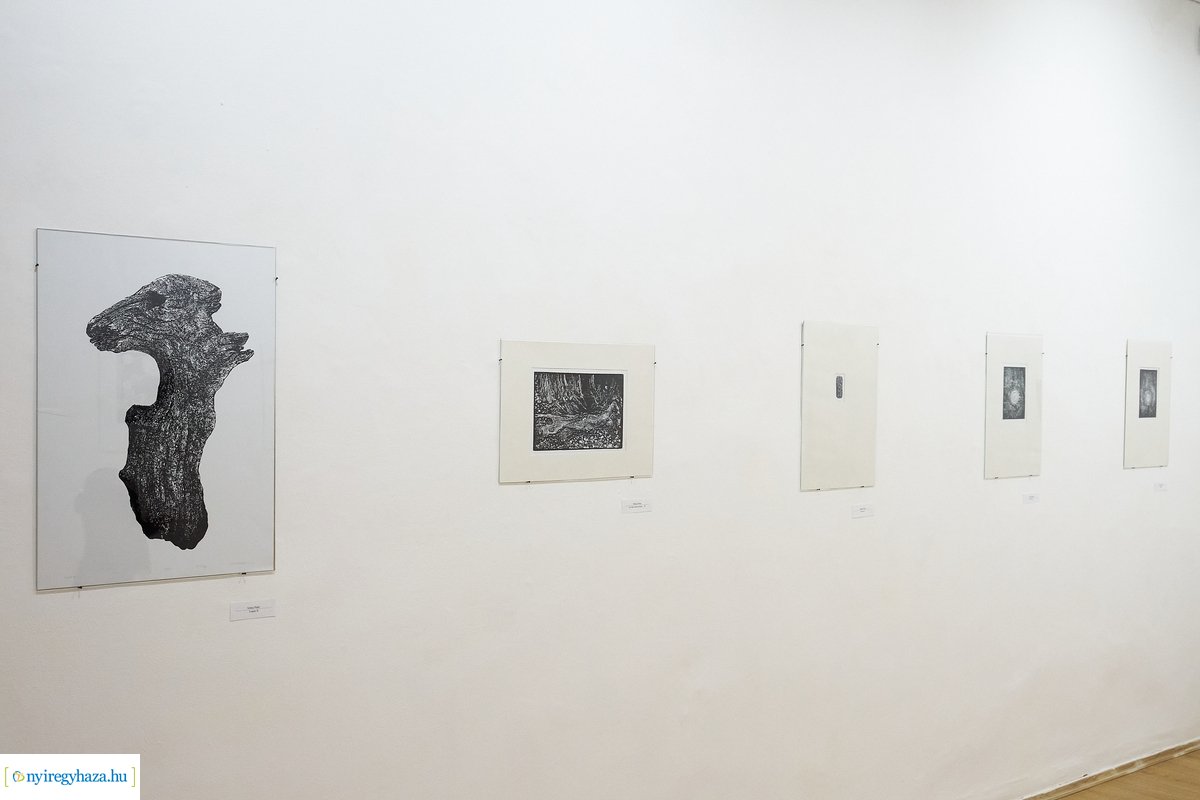 Nemzetközi fametsző kiállítás a Városi Galériában