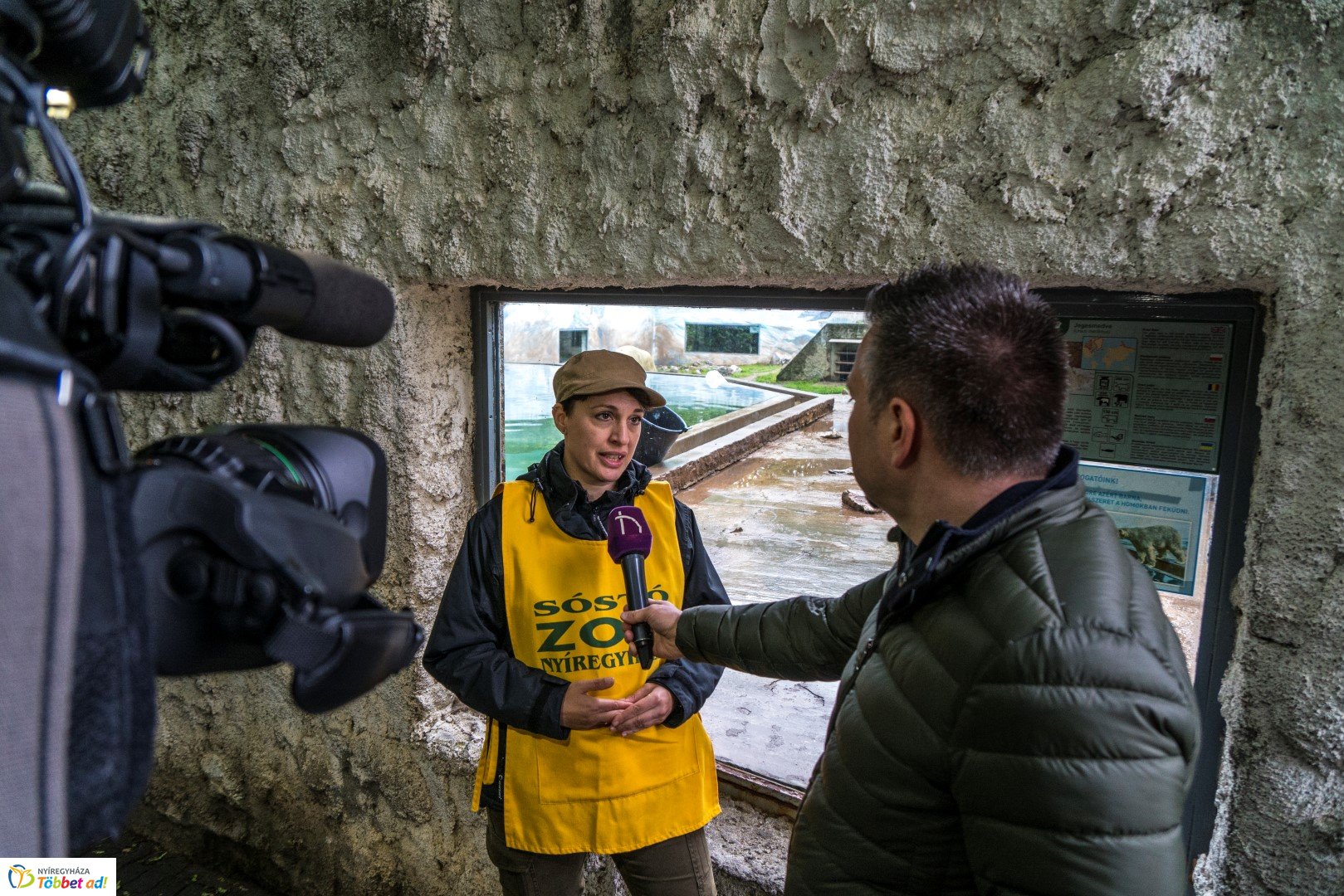 Nemzetközi Medve Nap a Nyíregyházi Állatparkban