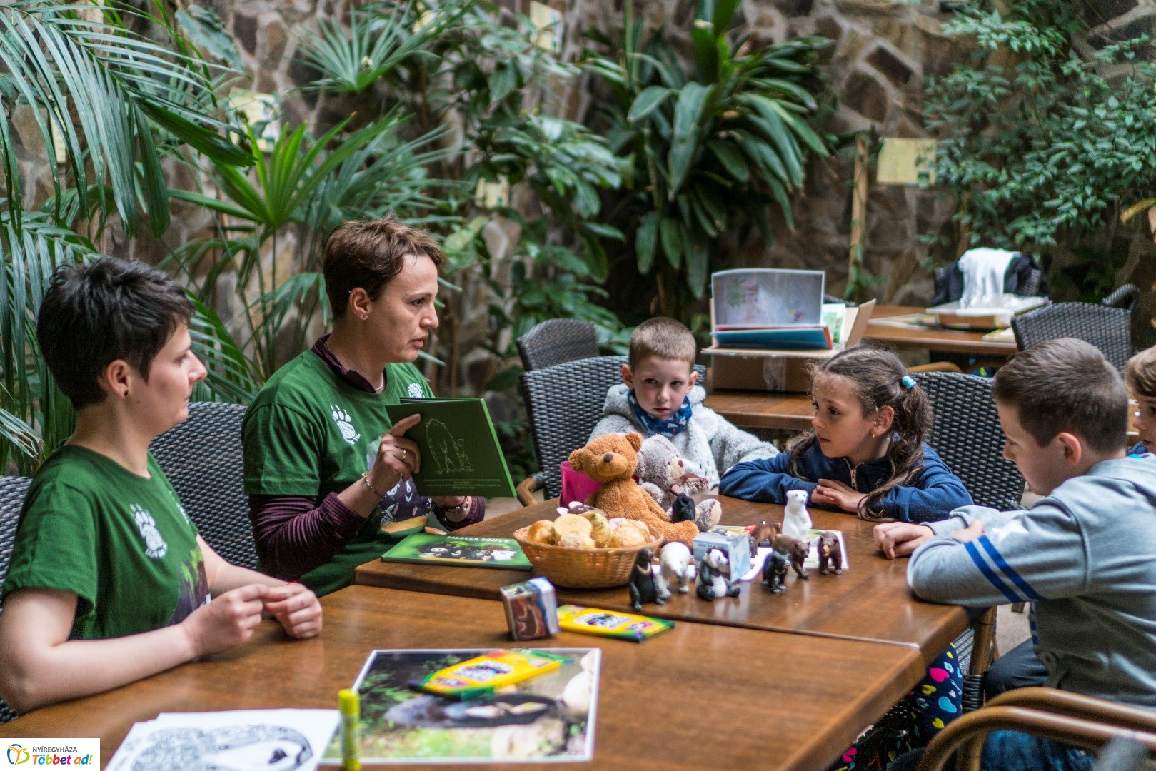 Nemzetközi Medve Nap a Nyíregyházi Állatparkban