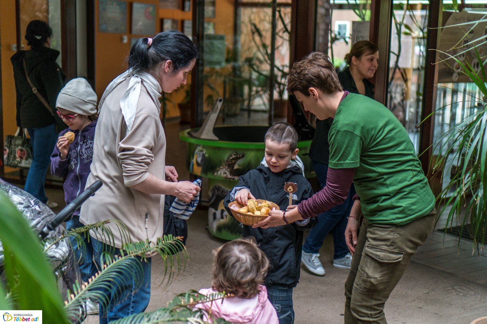 Nemzetközi Medve Nap a Nyíregyházi Állatparkban