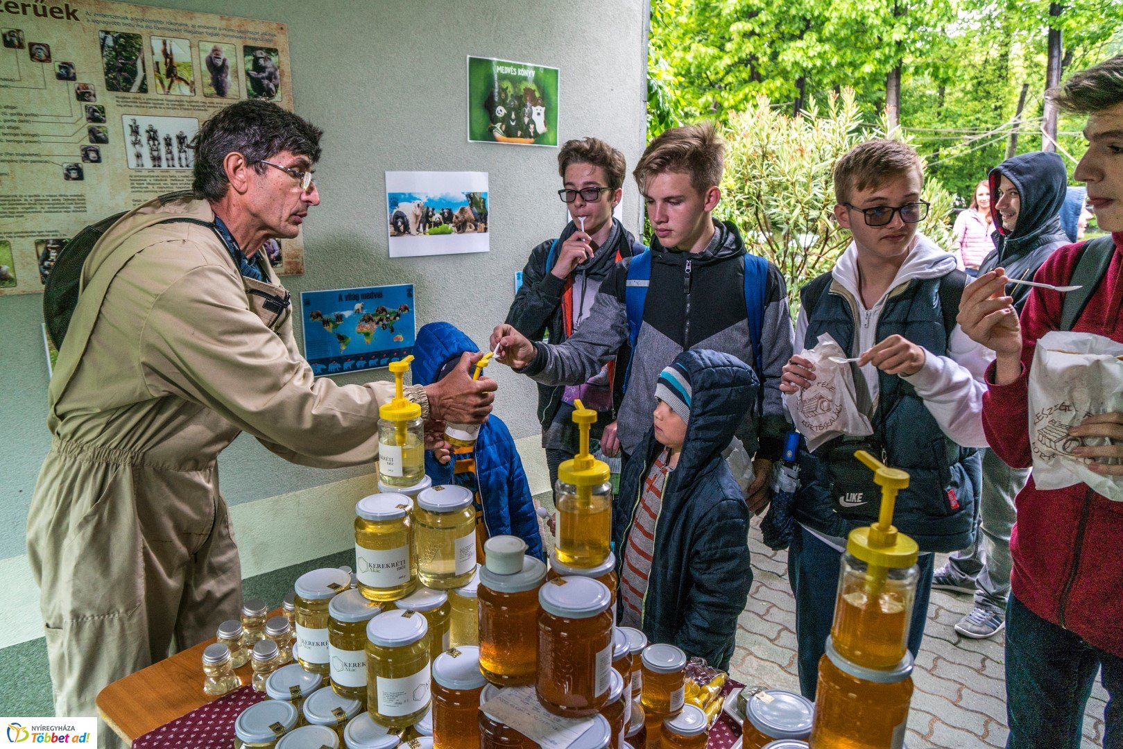 Nemzetközi Medve Nap a Nyíregyházi Állatparkban