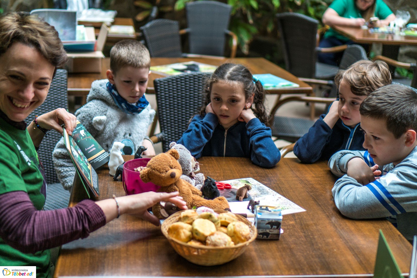 Nemzetközi Medve Nap a Nyíregyházi Állatparkban