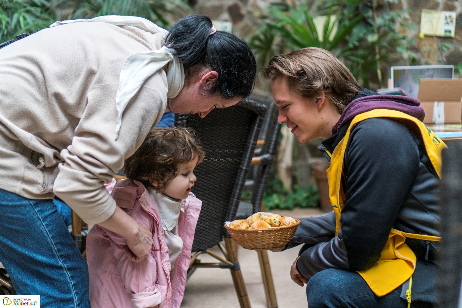 Nemzetközi Medve Nap a Nyíregyházi Állatparkban