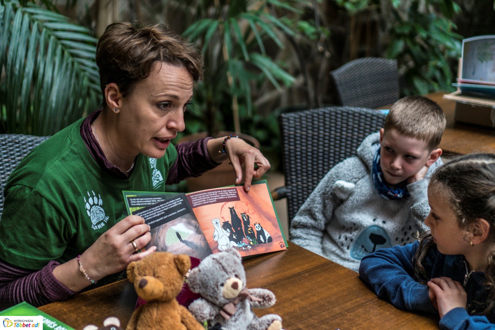 Nemzetközi Medve Nap a Nyíregyházi Állatparkban