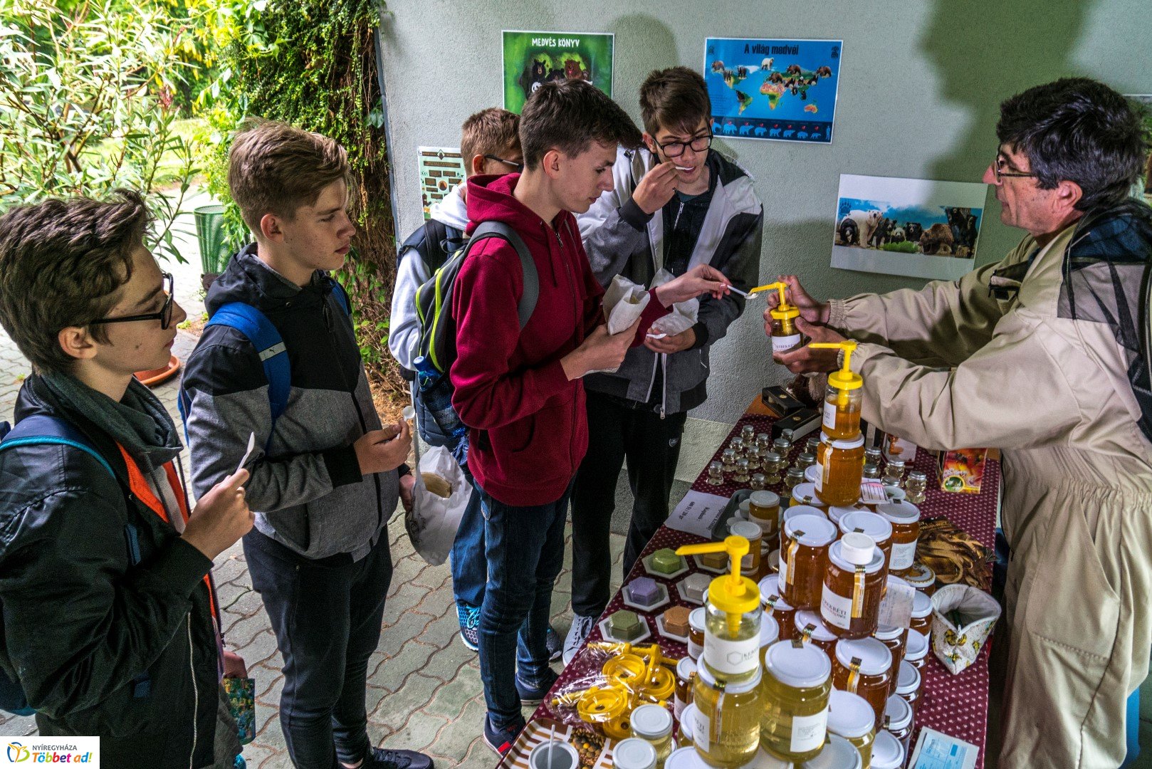 Nemzetközi Medve Nap a Nyíregyházi Állatparkban