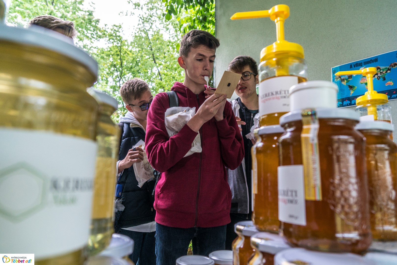 Nemzetközi Medve Nap a Nyíregyházi Állatparkban