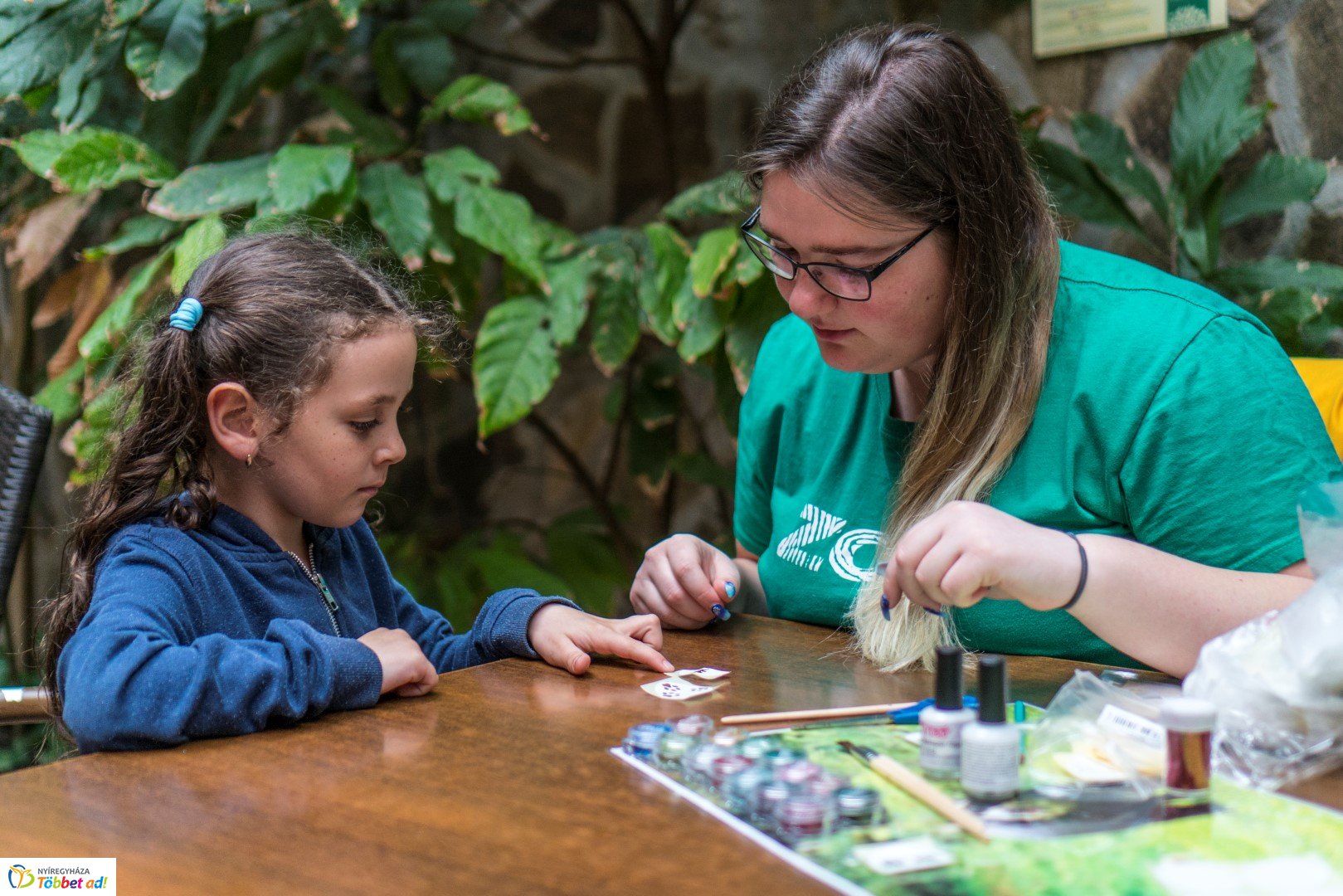 Nemzetközi Medve Nap a Nyíregyházi Állatparkban