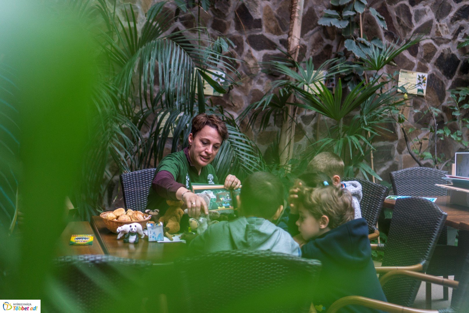 Nemzetközi Medve Nap a Nyíregyházi Állatparkban