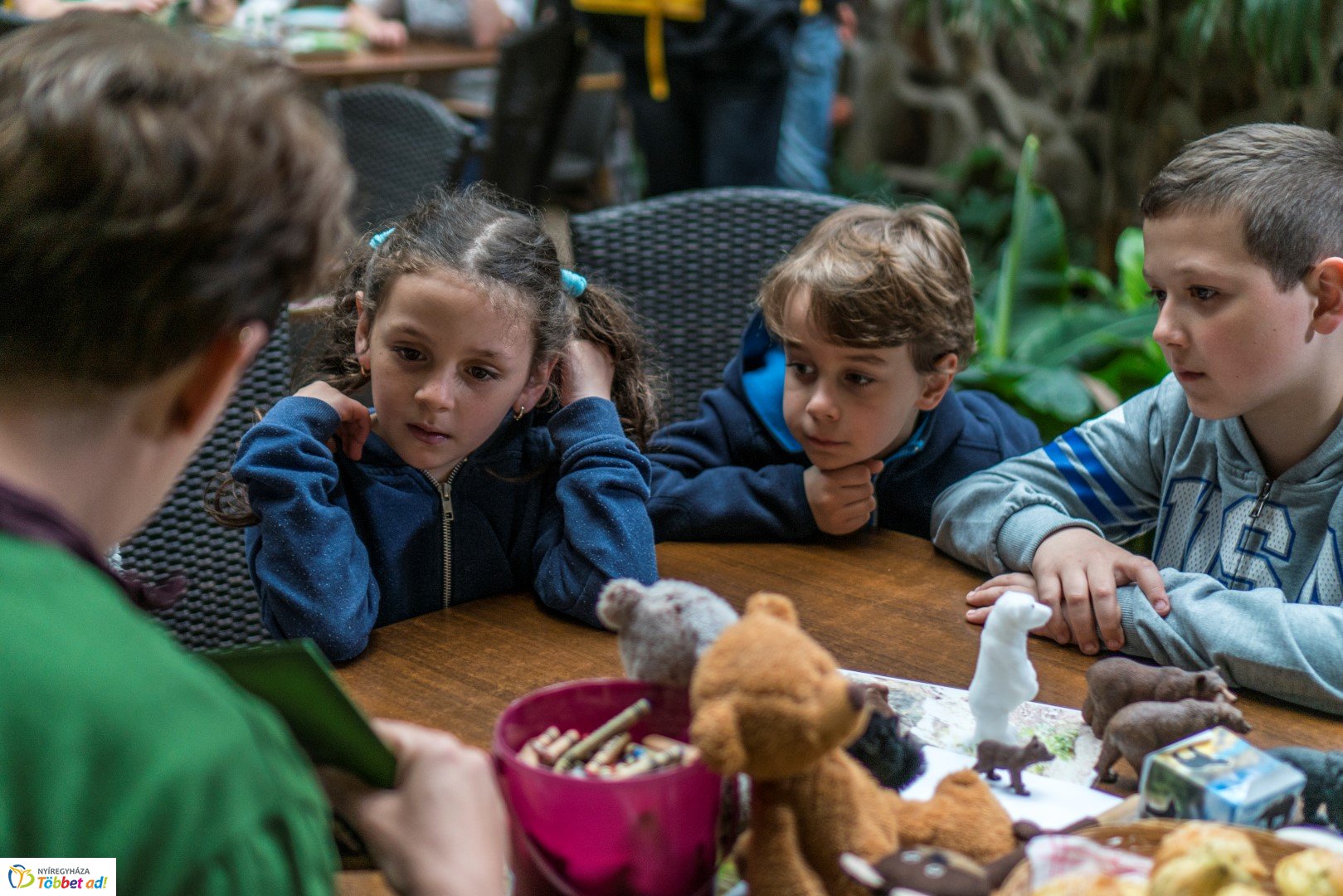 Nemzetközi Medve Nap a Nyíregyházi Állatparkban