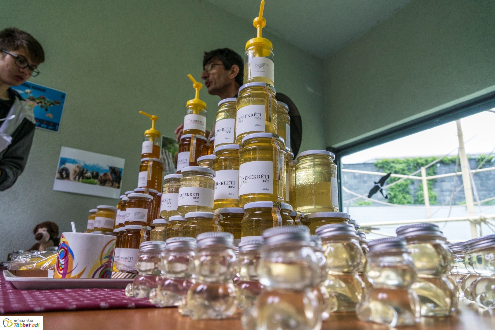 Nemzetközi Medve Nap a Nyíregyházi Állatparkban