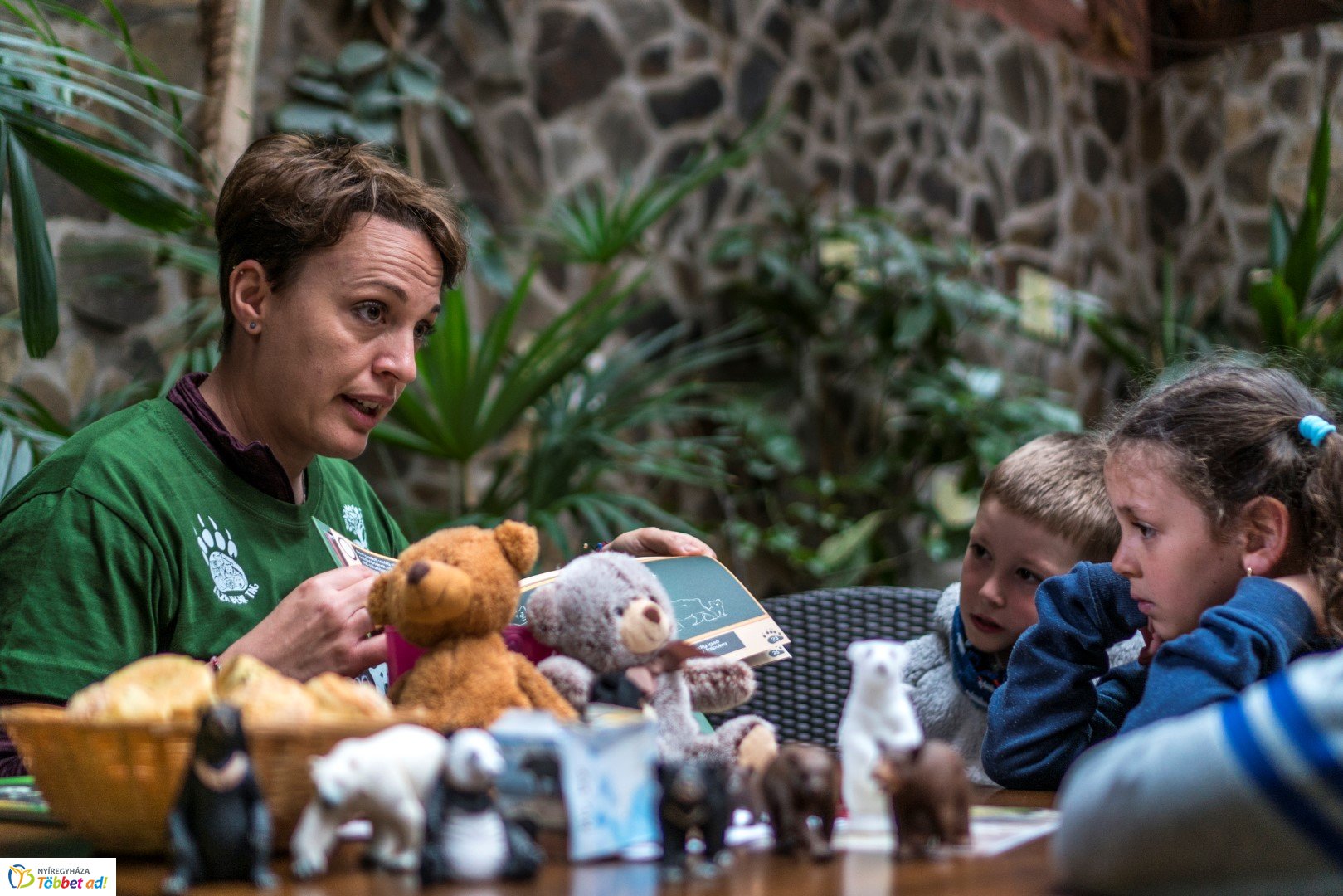 Nemzetközi Medve Nap a Nyíregyházi Állatparkban