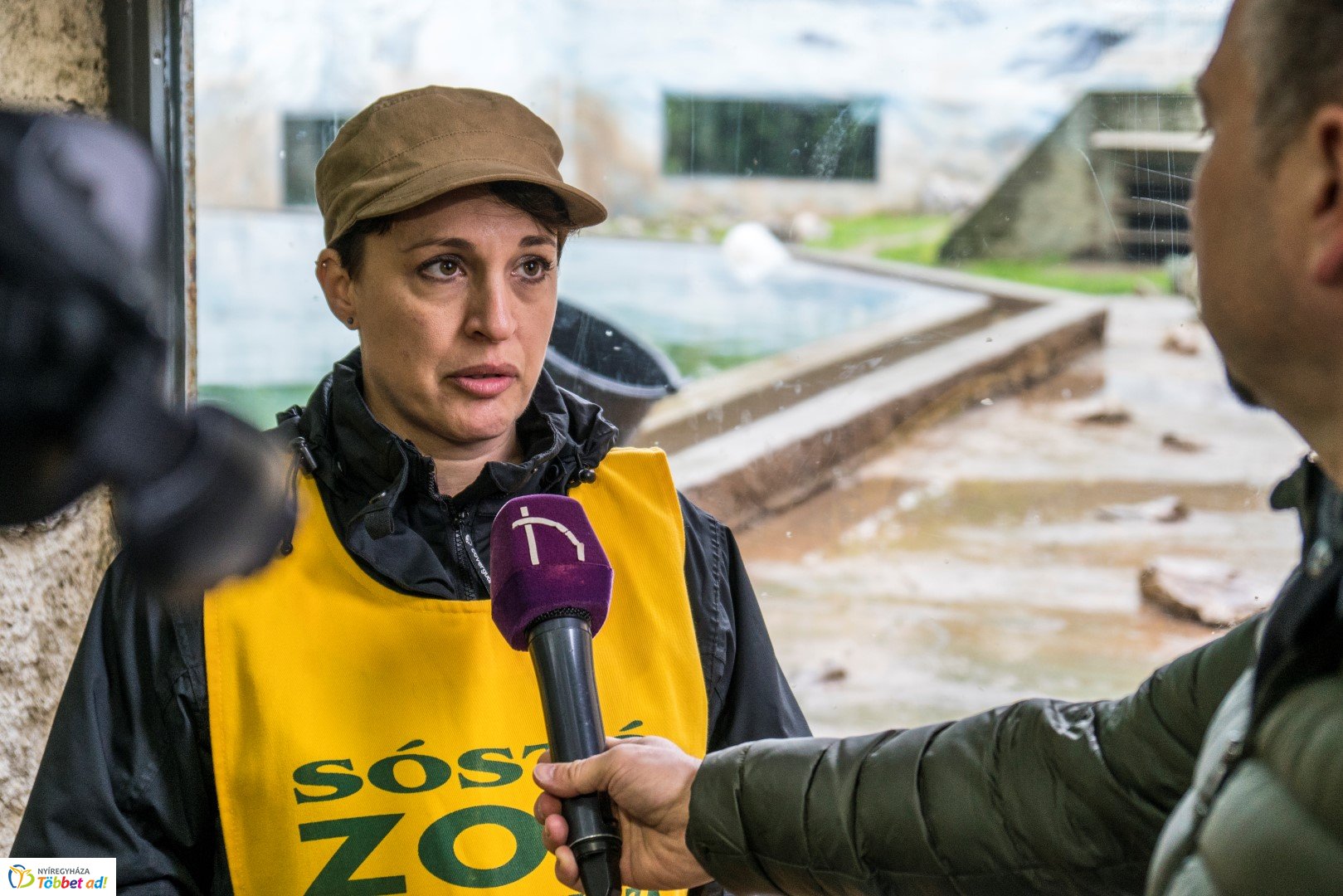 Nemzetközi Medve Nap a Nyíregyházi Állatparkban