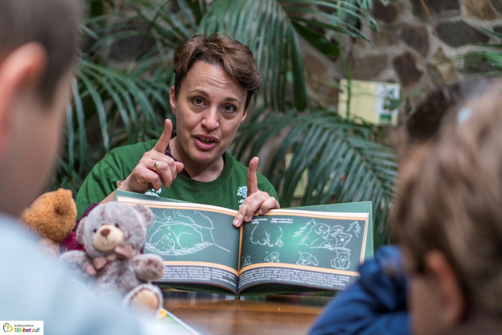 Nemzetközi Medve Nap a Nyíregyházi Állatparkban