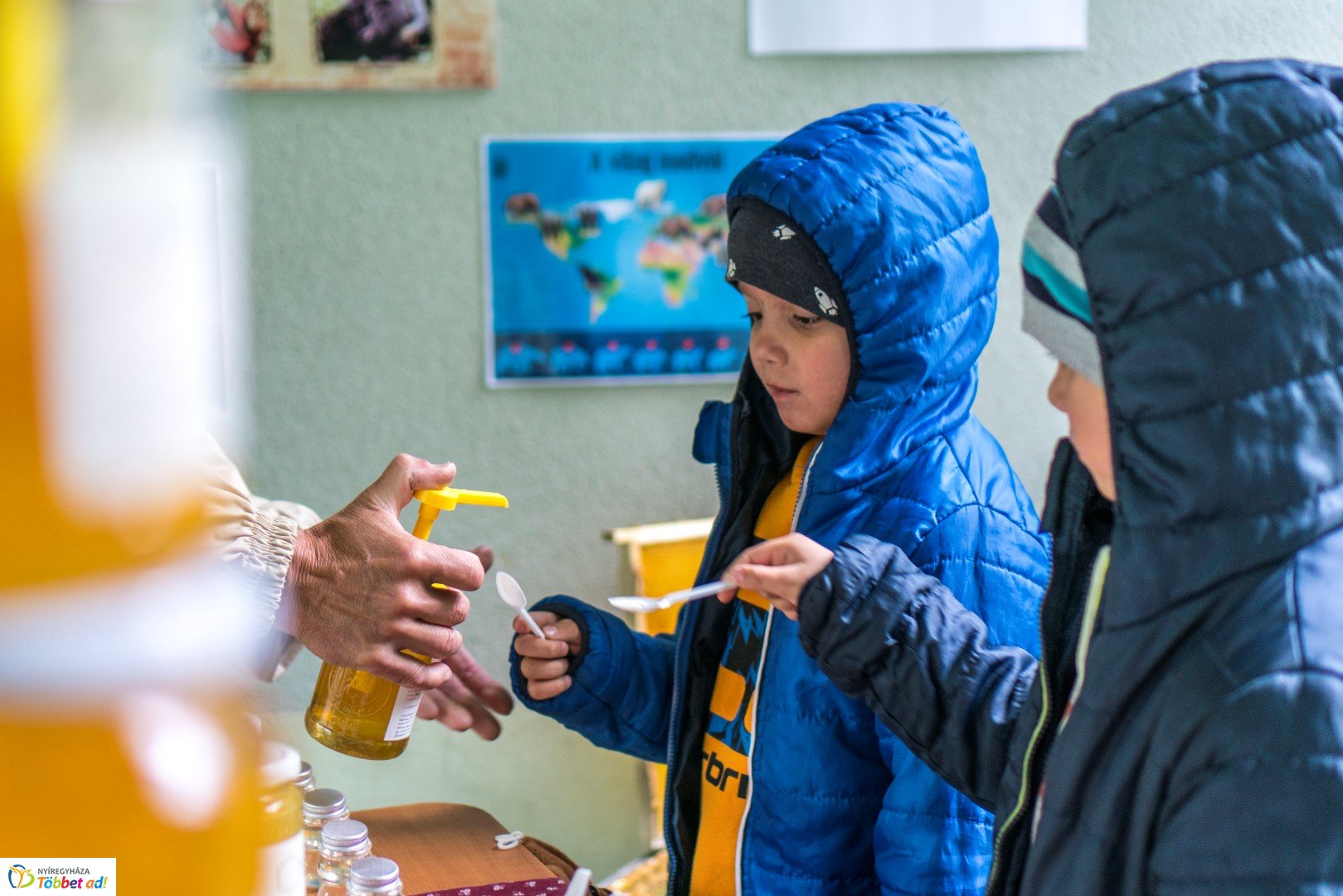 Nemzetközi Medve Nap a Nyíregyházi Állatparkban