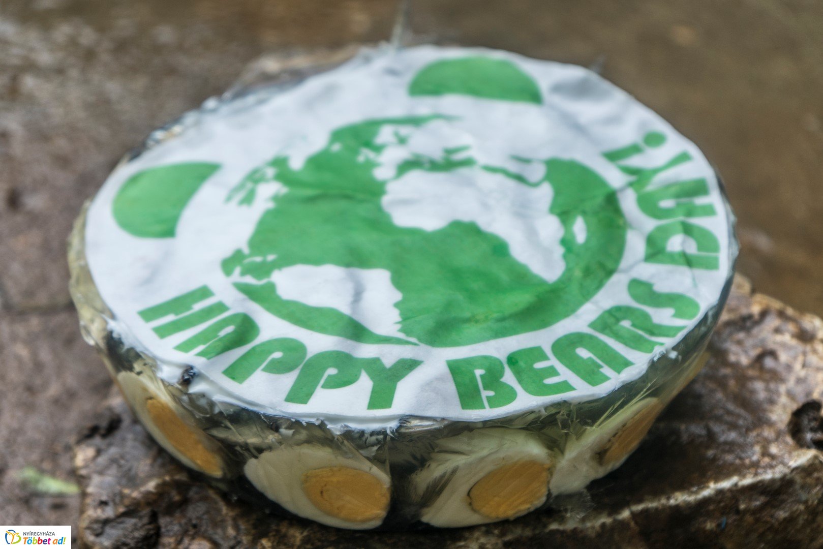 Nemzetközi Medve Nap a Nyíregyházi Állatparkban