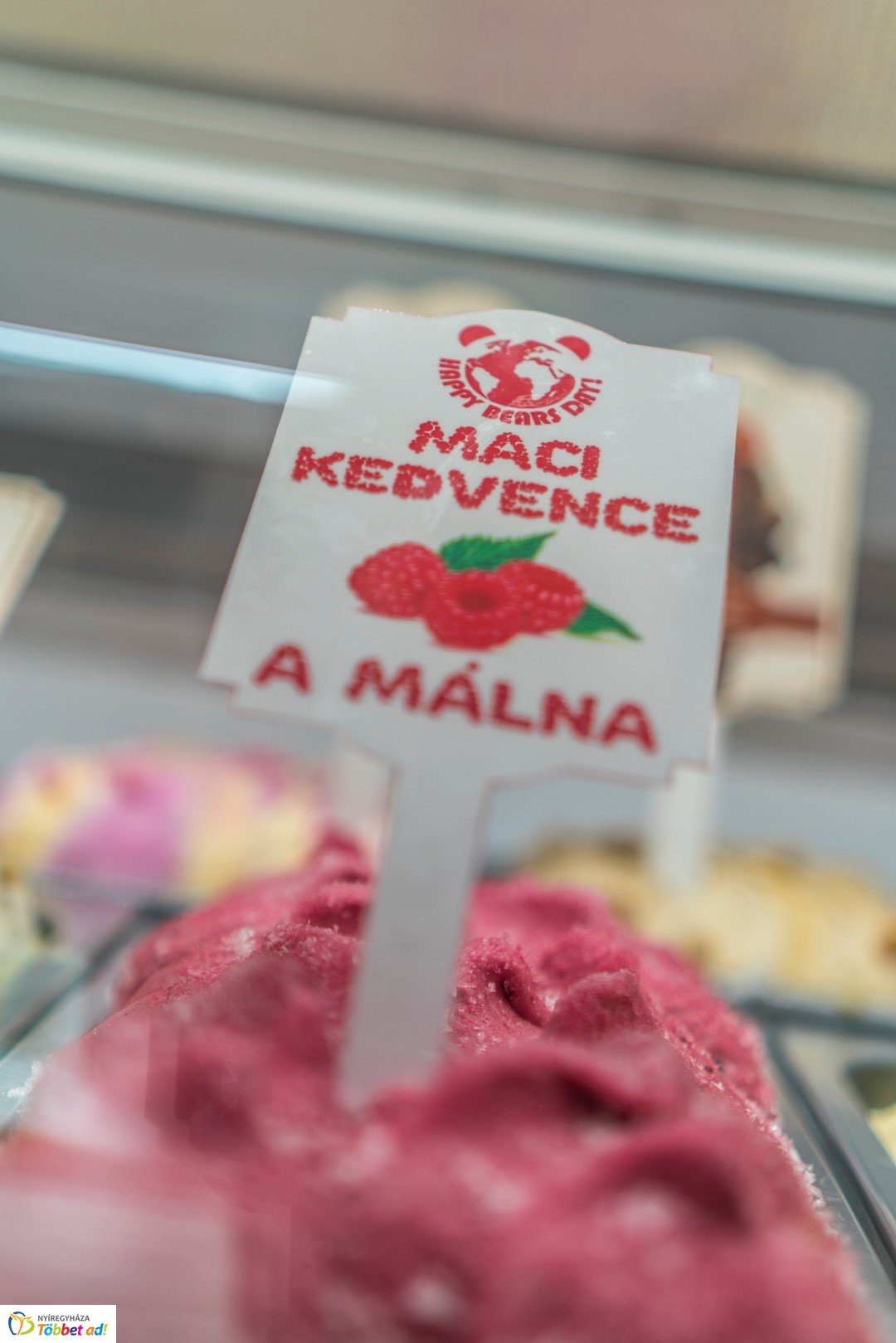 Nemzetközi Medve Nap a Nyíregyházi Állatparkban