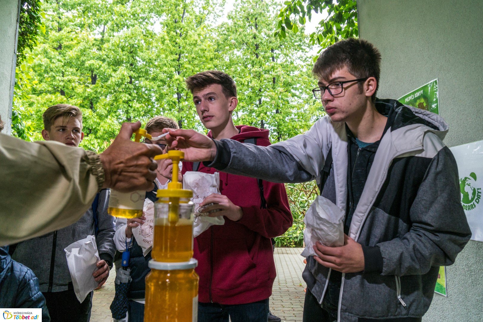 Nemzetközi Medve Nap a Nyíregyházi Állatparkban