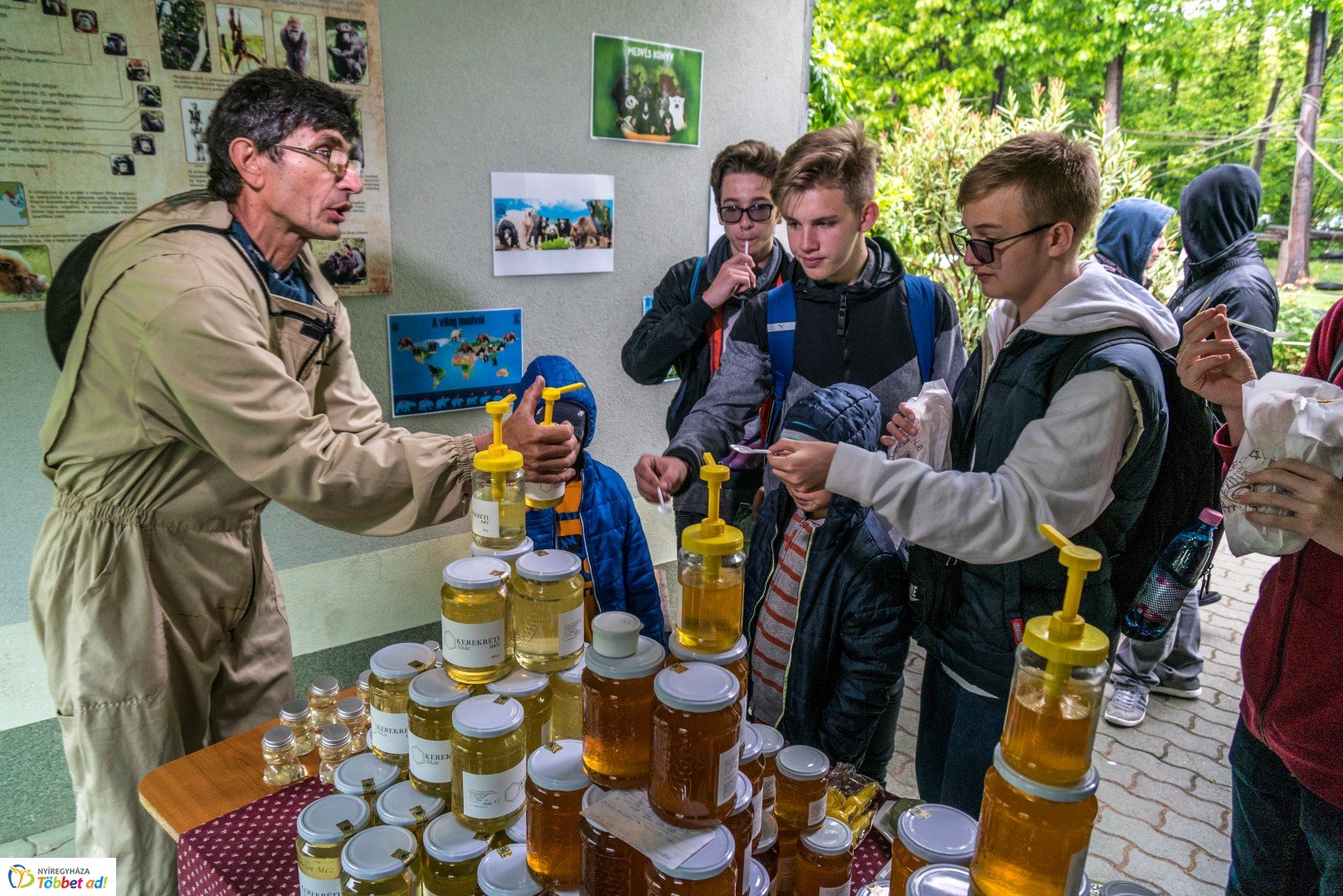 Nemzetközi Medve Nap a Nyíregyházi Állatparkban