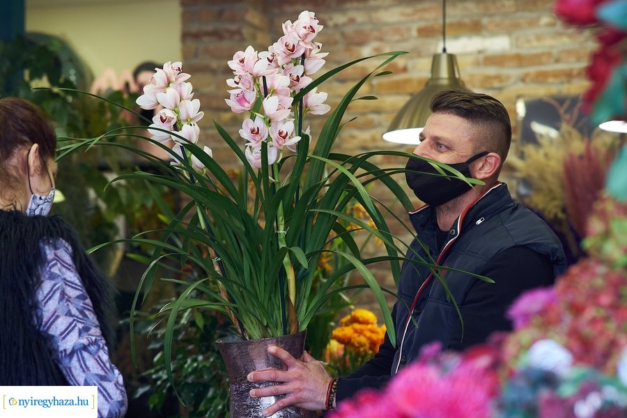 Nőnapra hangolódva