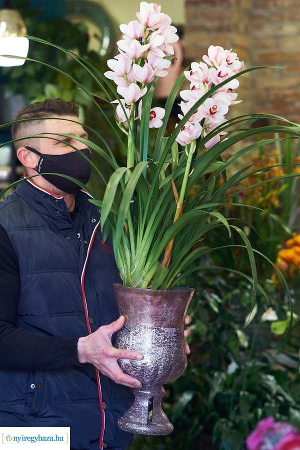 Nőnapra hangolódva