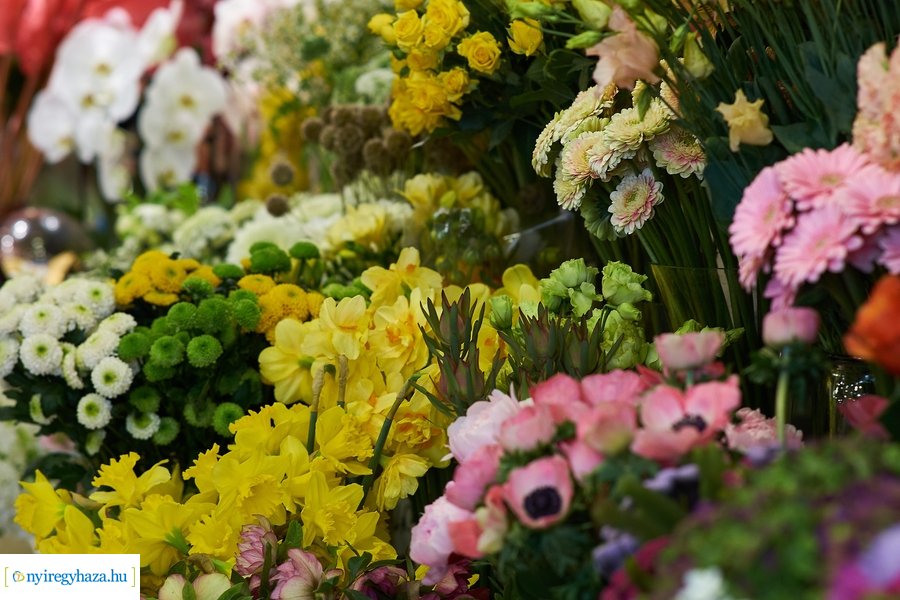 Nőnapra hangolódva