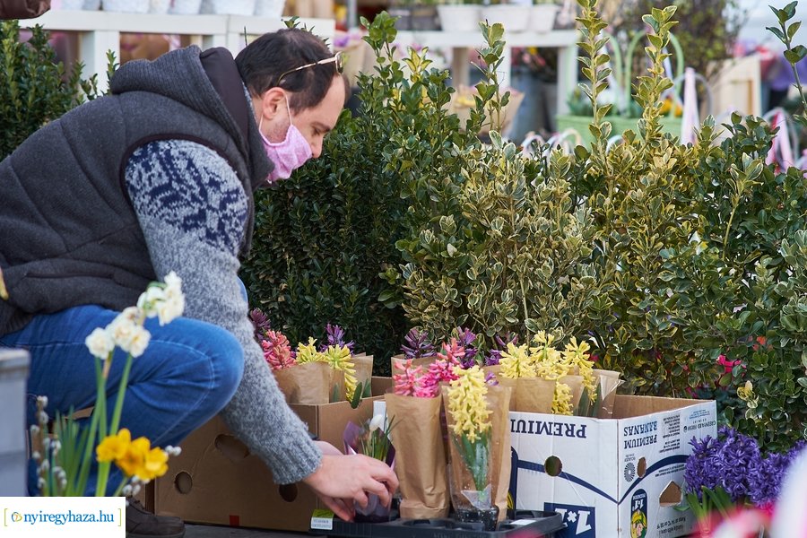 Nőnapra hangolódva
