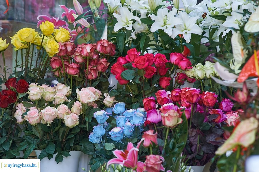 Nőnapra hangolódva