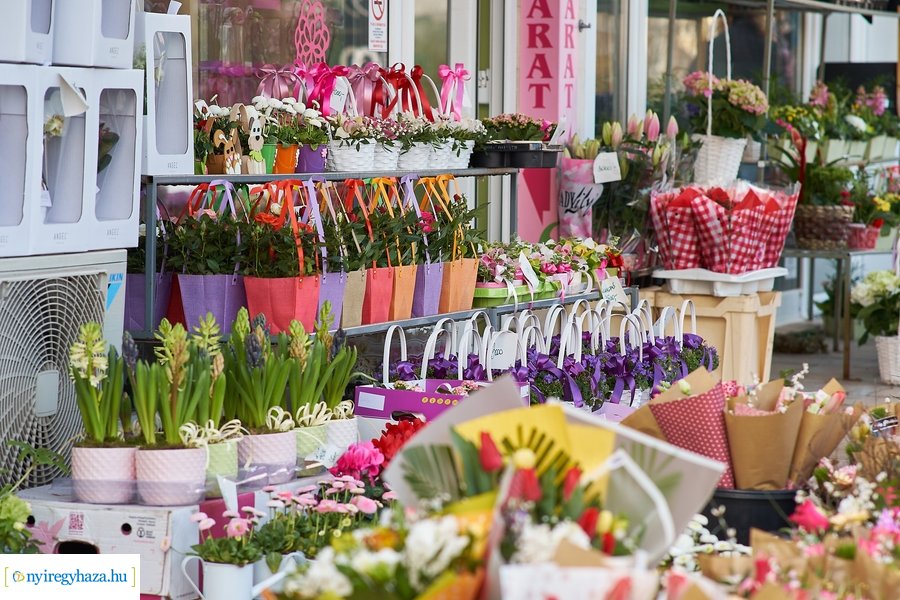 Nőnapra hangolódva