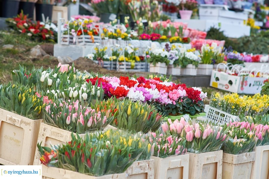 Nőnapra hangolódva