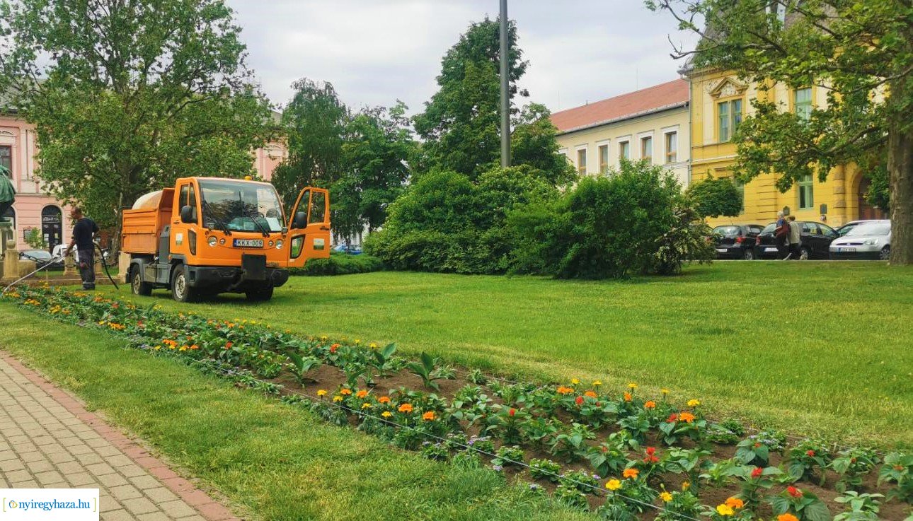 Növényesítés és virágosítás Nyíregyháza közterein 