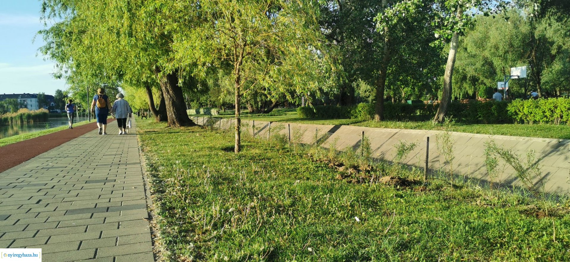 Növényesítés és virágosítás Nyíregyháza közterein 