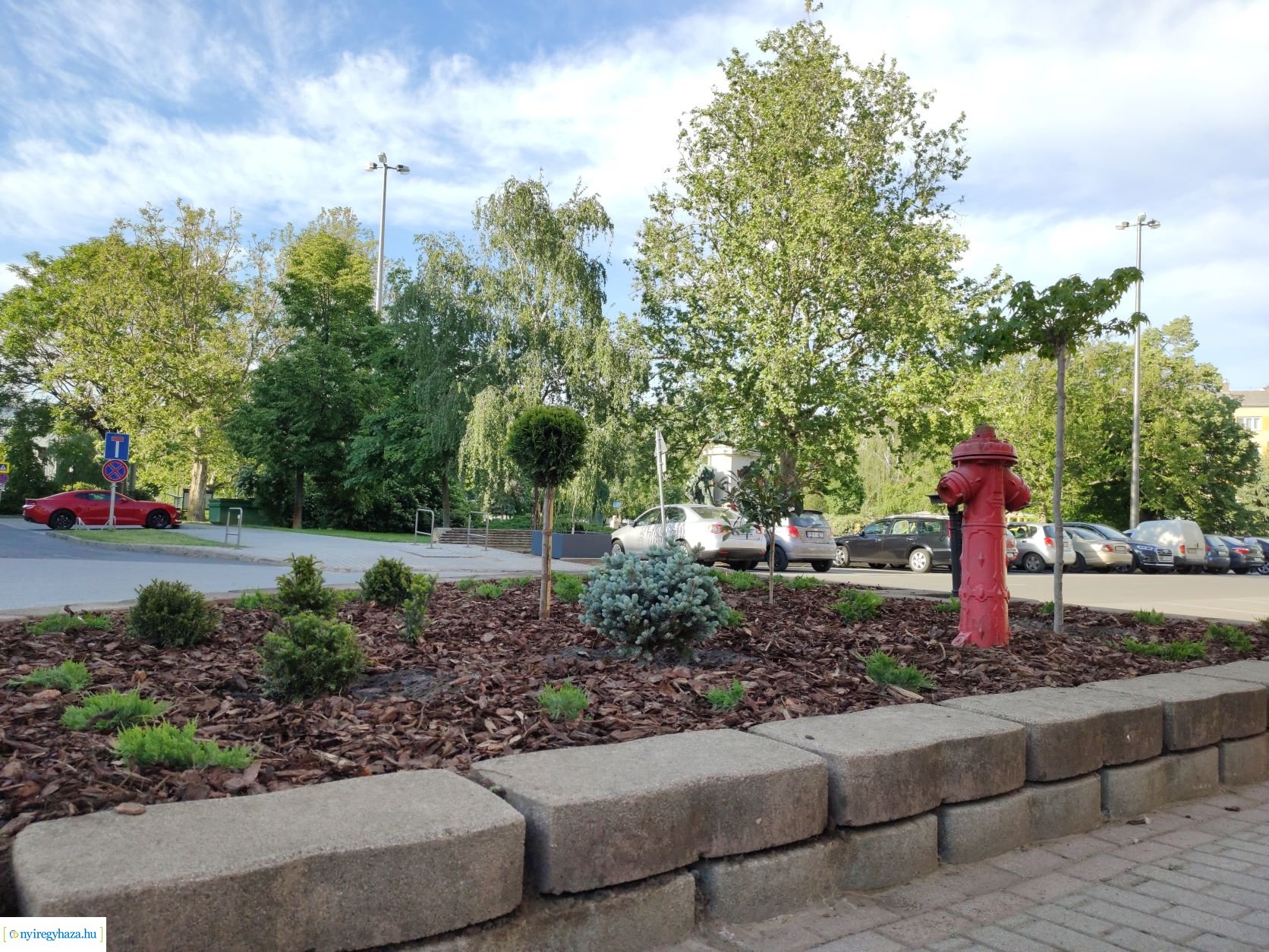 Növényesítés és virágosítás Nyíregyháza közterein 