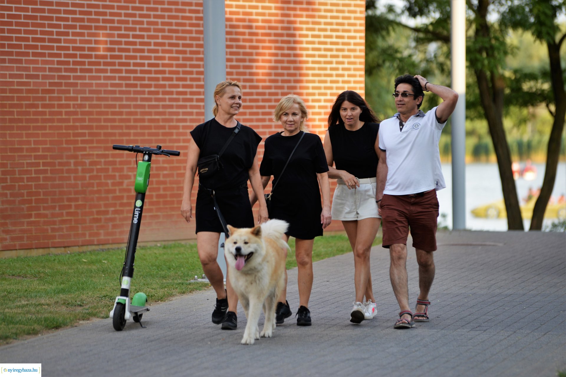 Nyáresti séta Sóstón