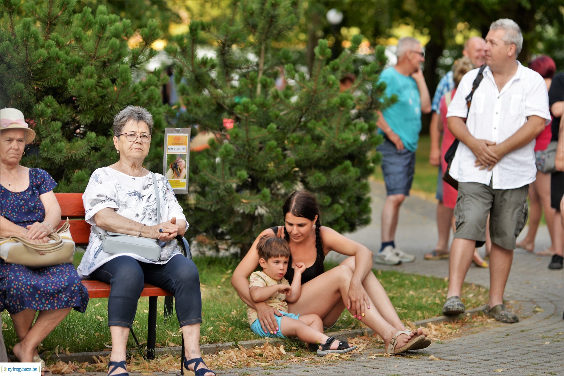 Nyáresti séta Sóstón