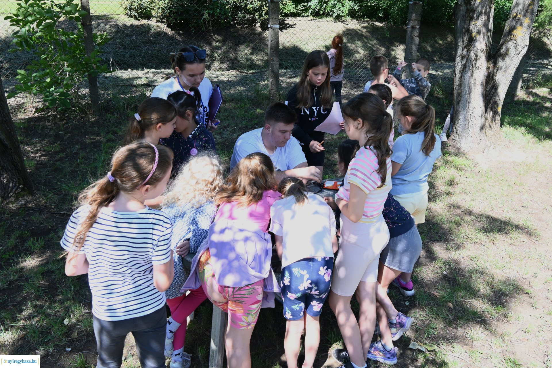 Nyári délelőtt a  Kisvakond táborban