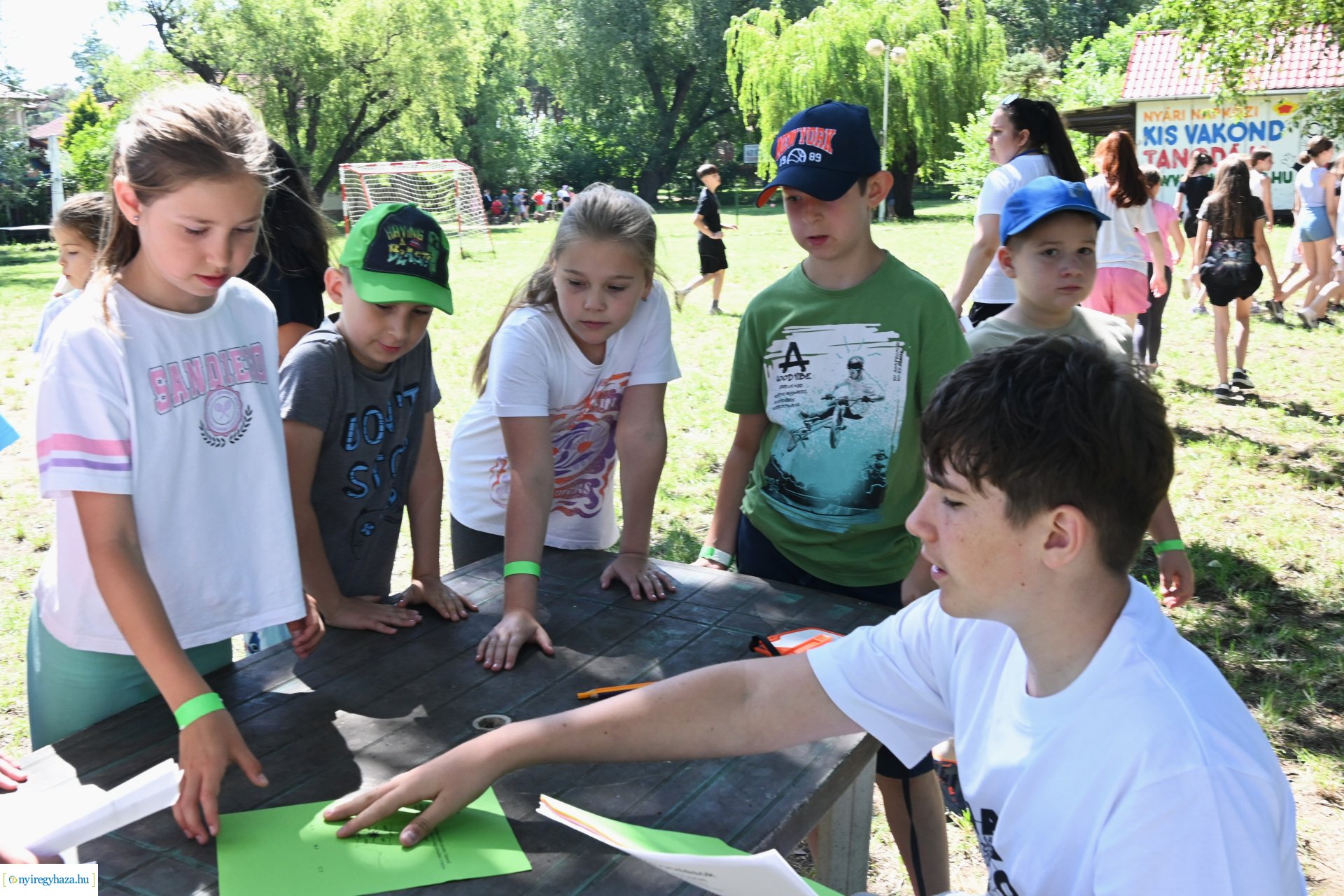 Nyári délelőtt a  Kisvakond táborban