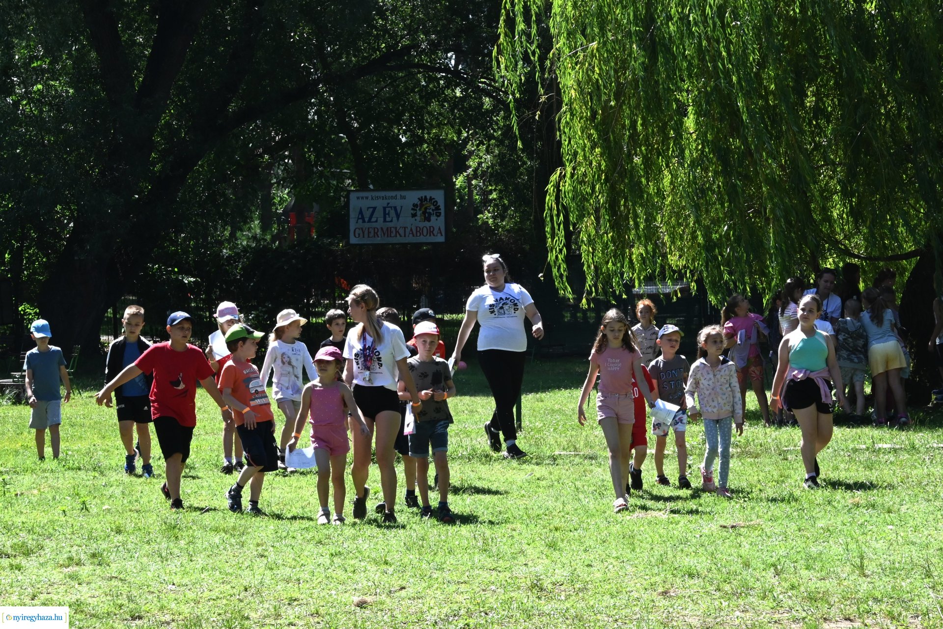 Nyári délelőtt a  Kisvakond táborban