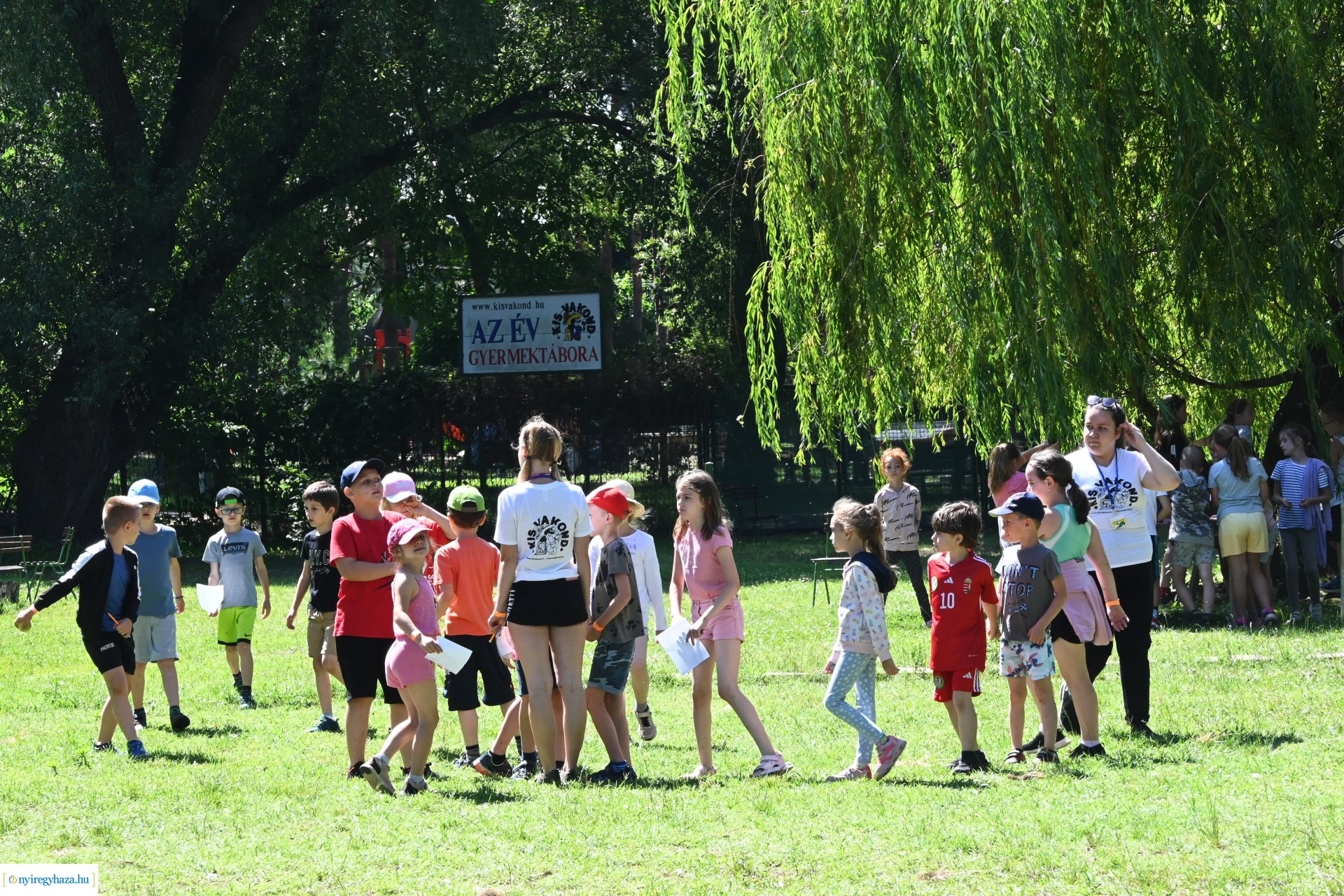 Nyári délelőtt a  Kisvakond táborban