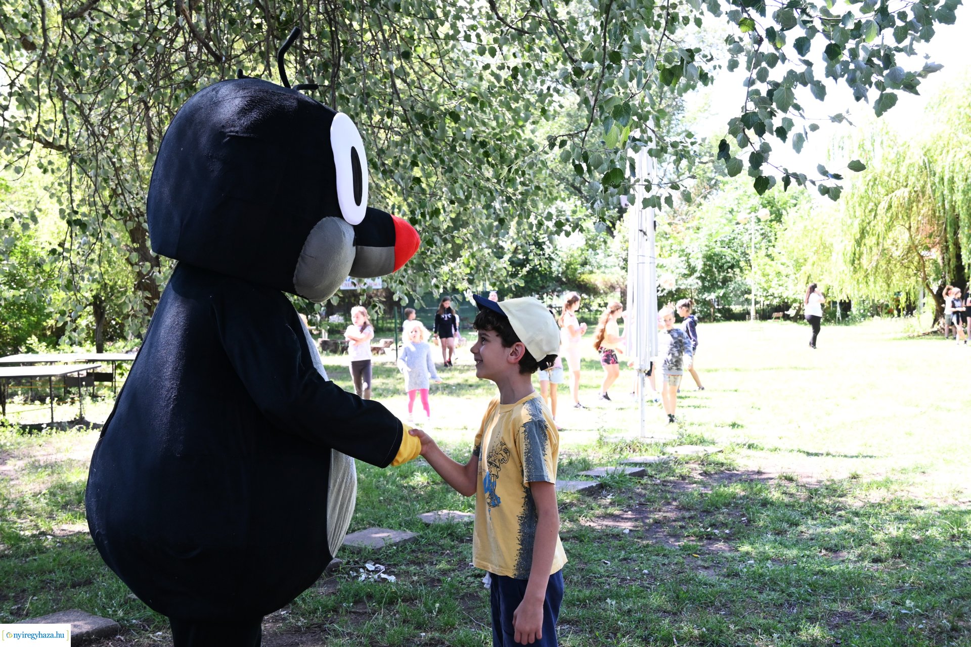 Nyári délelőtt a  Kisvakond táborban