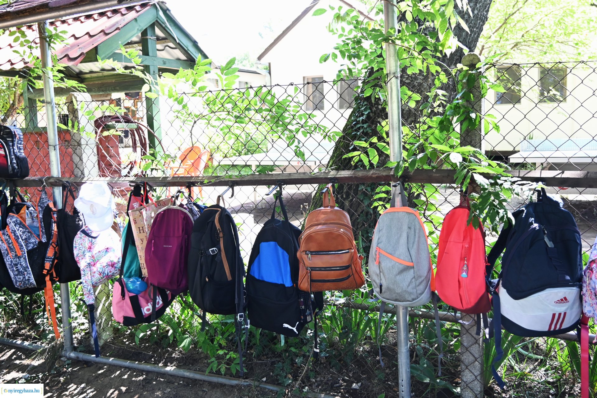 Nyári délelőtt a  Kisvakond táborban