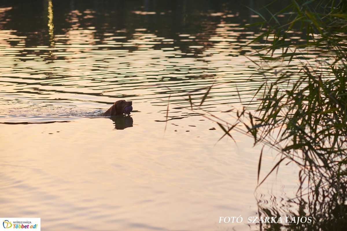 Nyári szombat este Sóstón