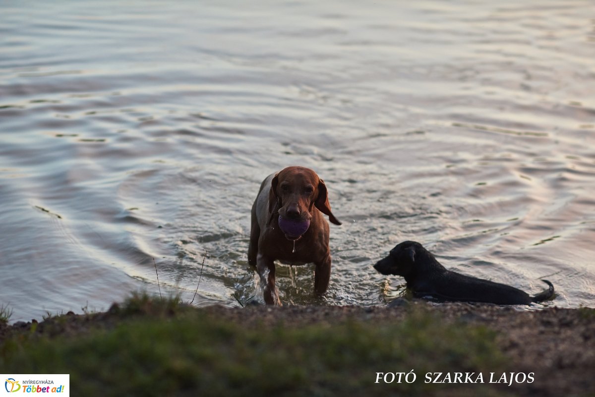 Nyári szombat este Sóstón